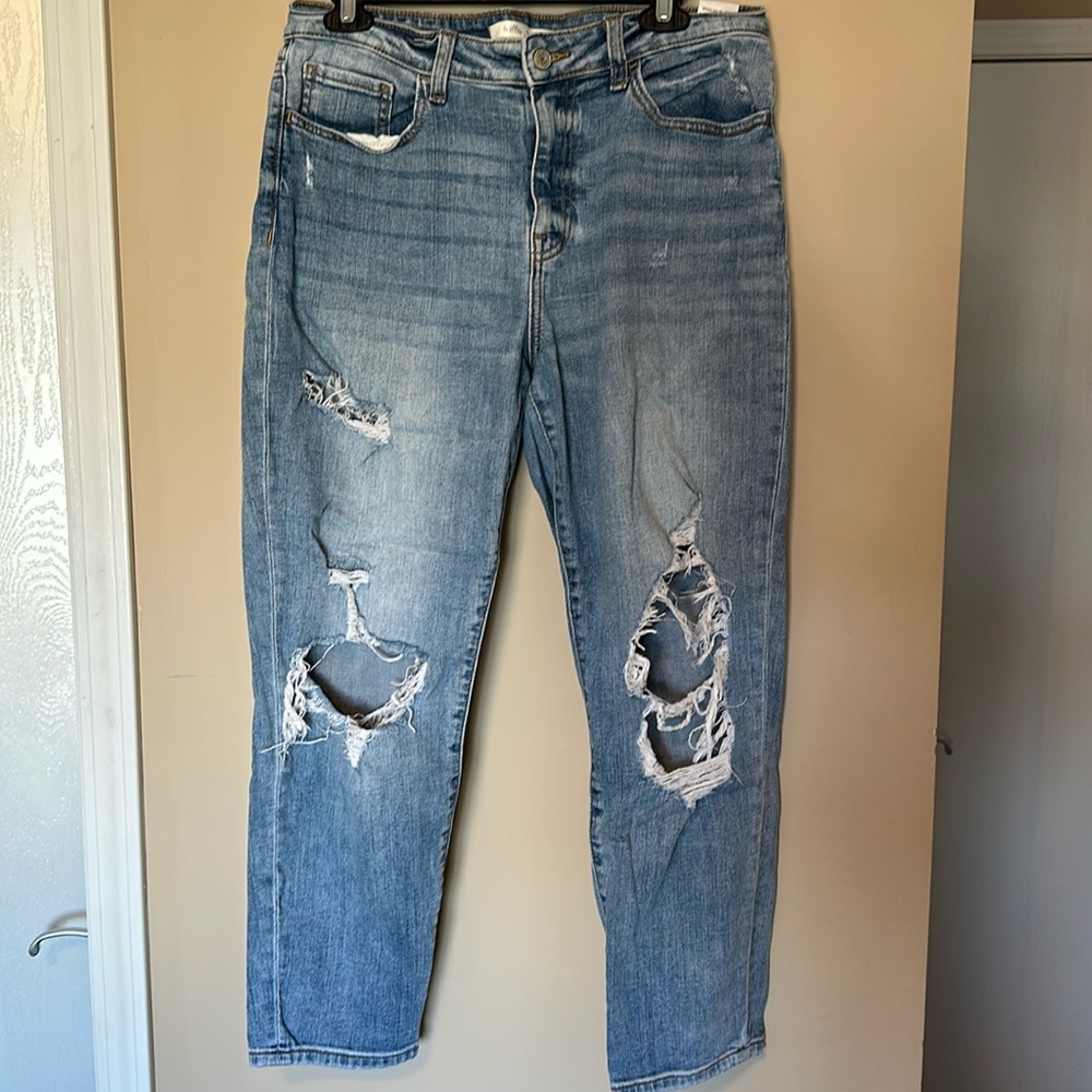Willow + Root High Rise Medium Wash Ankle Straight Jeans